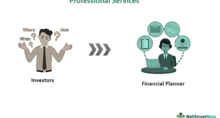 Professional Services - What is it, Role, Example, Vs Consulting