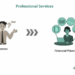 Professional Services - What is it, Role, Example, Vs Consulting